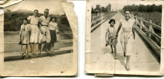 12291038_194085907593270_3370073086288096584_o