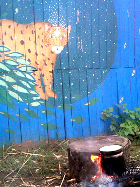 IMG00777-20160410-1655xx