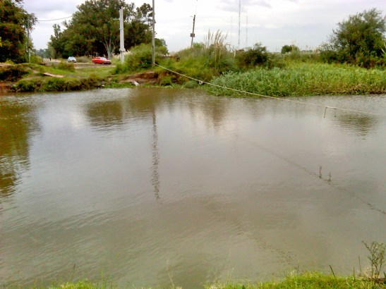 IMG00827-20160410-1822xxx