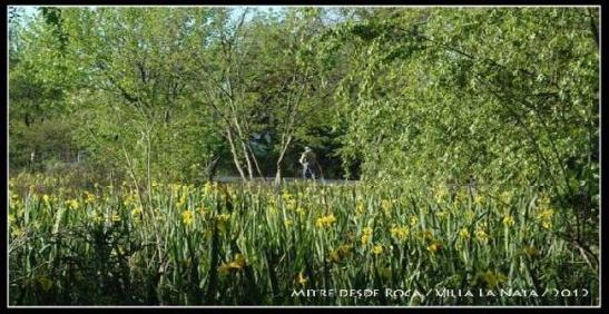 01_603643_112866835526602_432778988_n.jpgmid