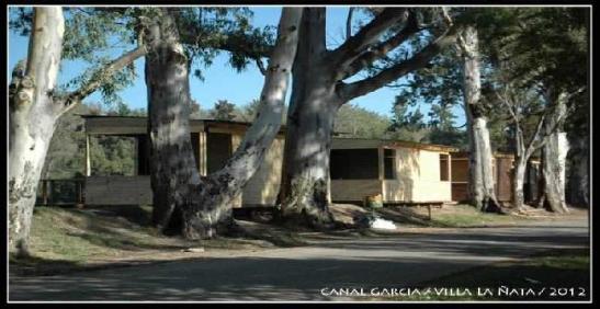 04_544625_112866898859929_749309242_n.jpgmid