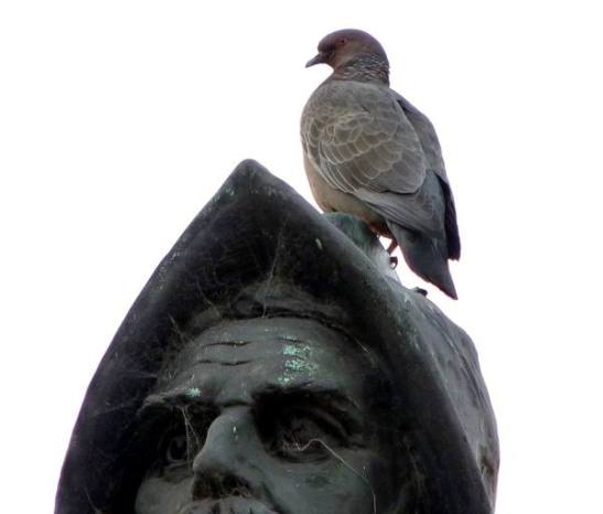 05_578142_375912382461948_2042543825_nx.jpgaocylo