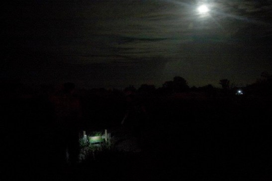 08 - 392210_328196947205657_100000460633311_1204528_1990299489_n