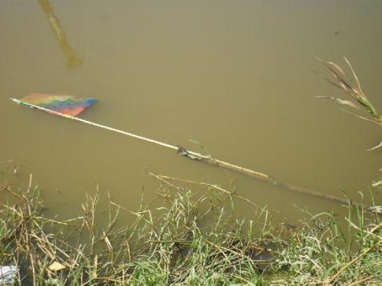 10_261866_375986939142976_1182614684_n.jpgmid