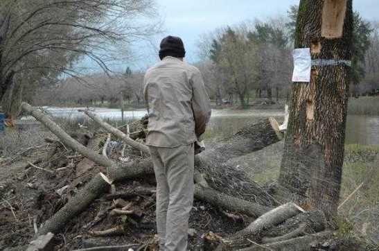 11_268681_117094018437217_393107195_n