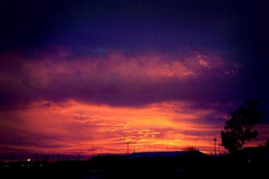 28_424374_371424979549520_100000460633311_1332344_322545258_n