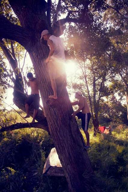 29_429365_380819375276747_100000460633311_1360373_1526353697_n