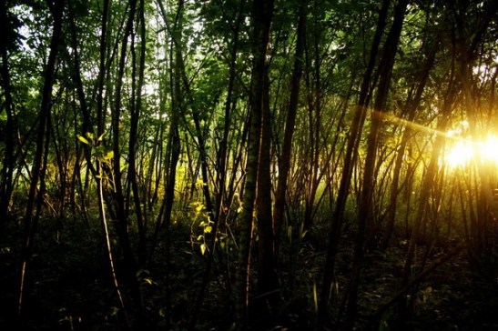 34 - 386665_328197963872222_100000460633311_1204554_1221957271_n