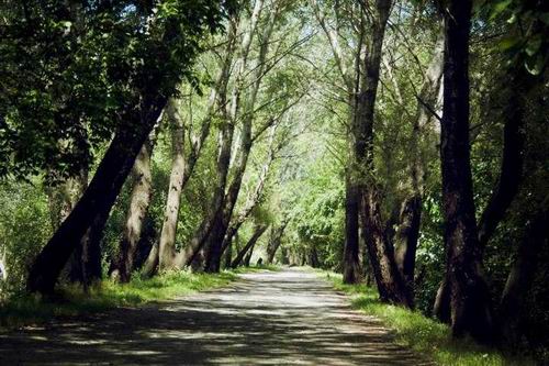 397103_341653172526701_1983332563_nx