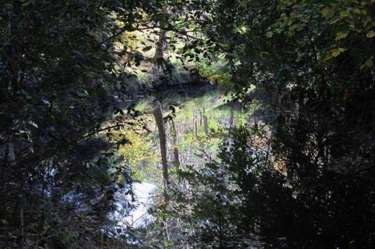 534975_228660317245017_224082317702817_382865_791053446_nx