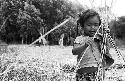 Ma Eugenia Castro Fernández2