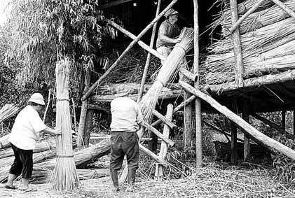 Ma. Eugenia Castro Fernández4