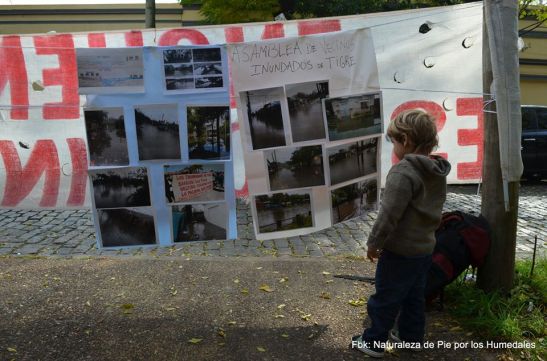 naturaleza x los humedales 13164485_1690824664515843_6094023517898151469_n