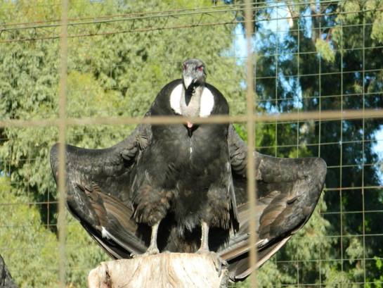 02-1393915_585105418192033_6688599_n