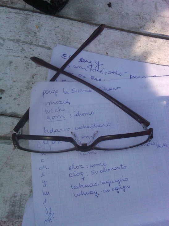 IMG01071-20160525-1247