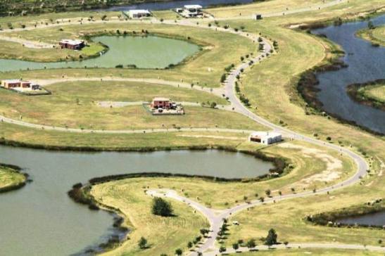 13718716_1170834489607930_1782181344945389543_n (1).jpg