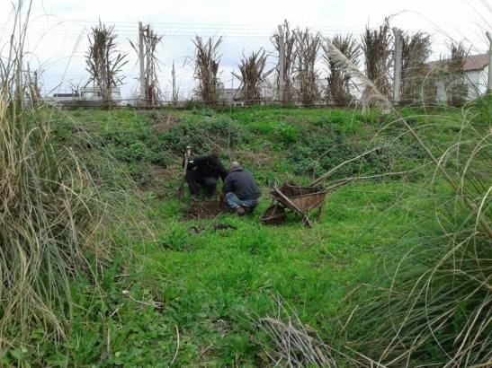 14 13692549_10207802215352039_3832556524558490873_n