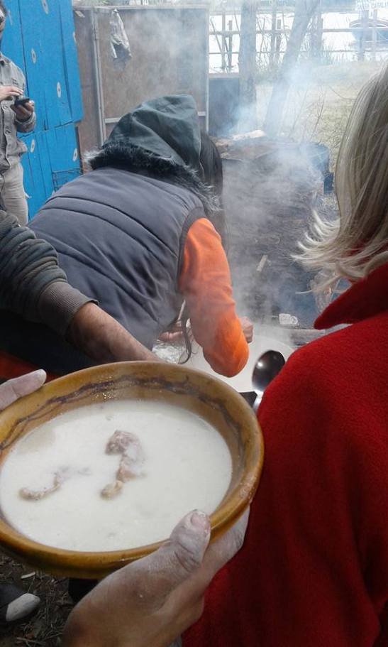 01 13775738_643939109088324_8035787186415157127_n