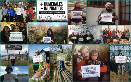 14021678_1495653203793520_8323604435223513171_n