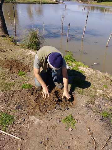 14055720_1172002192871019_1805917652_n