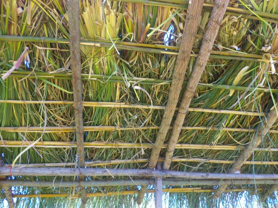 2015 - 09 Septiembre - 06 - dsc04887