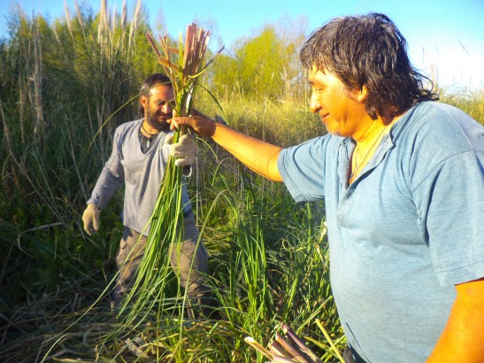 2015 - 09 Septiembre - 06 - dsc04898