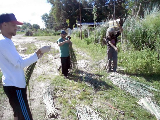 2015 - 11 Noviembre - 29 - ce-063x