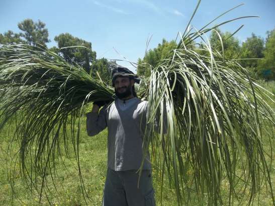 2015 - 12 Diciembre - 06 - 02-100_8942xx