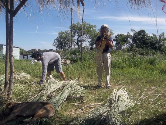 2015 - 12 Diciembre - 06 - 11-100_8986x