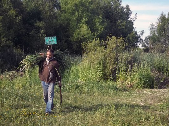 2015 - 12 Diciembre - 06 - 12-100_8989x