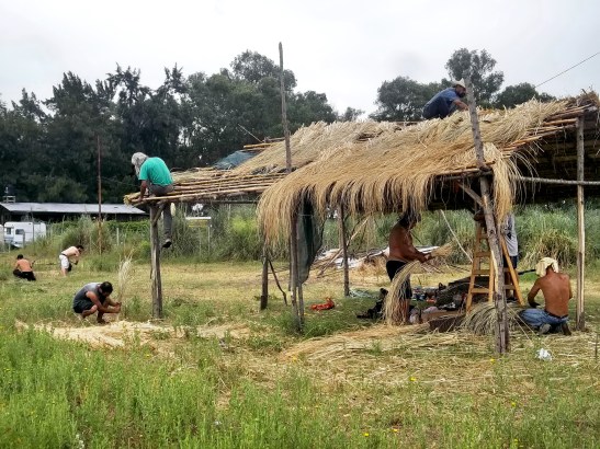 2016 - 01 Enero - 10 - 100_9989xx