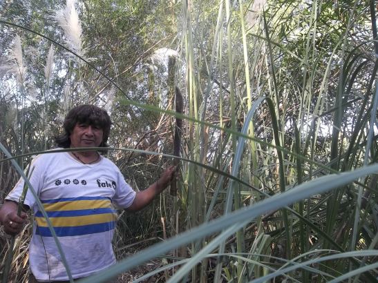 2016 - 02 Febrero - 28 - 100_9873