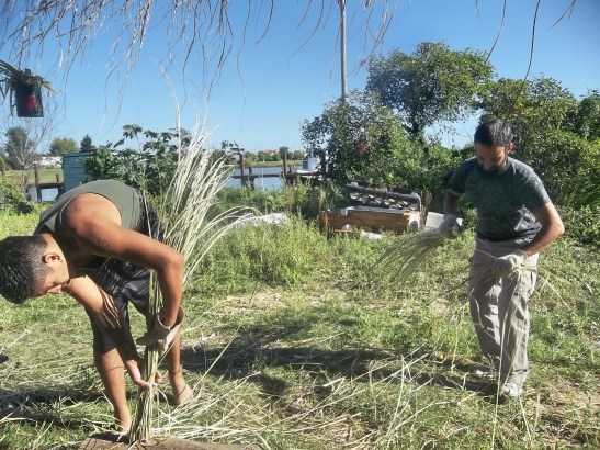 2016 - 03 Marzo - 06 - 100_9881xxx