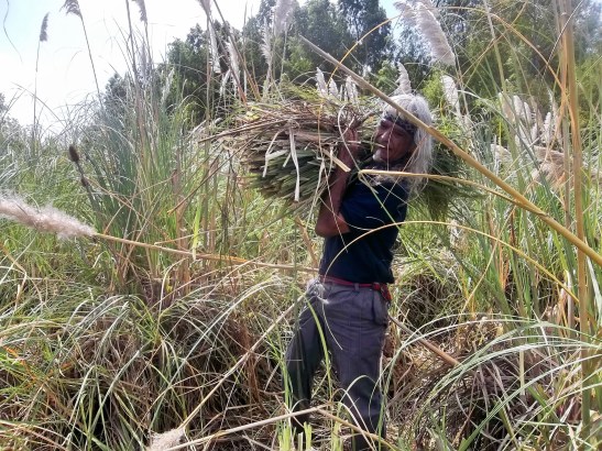 2016 - 03 Marzo - 27 - 100_9651xxx