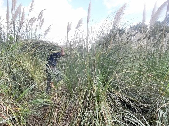 2016 - 03 Marzo - 27 - 100_9656xxx