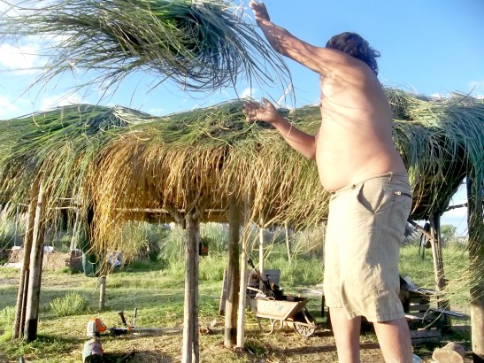 2016 - 03 Marzo - 27 - 100_9707xxx