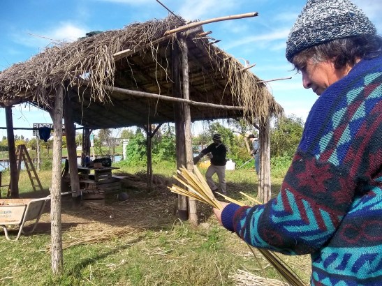 2016 - 05 Mayo - 01 - 100_9495xxx