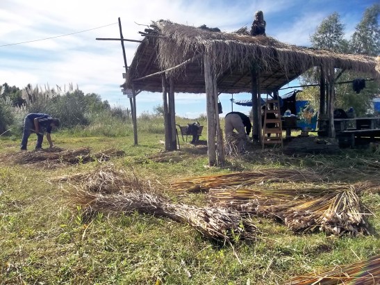 2016 - 05 Mayo - 01 - 100_9501xxx