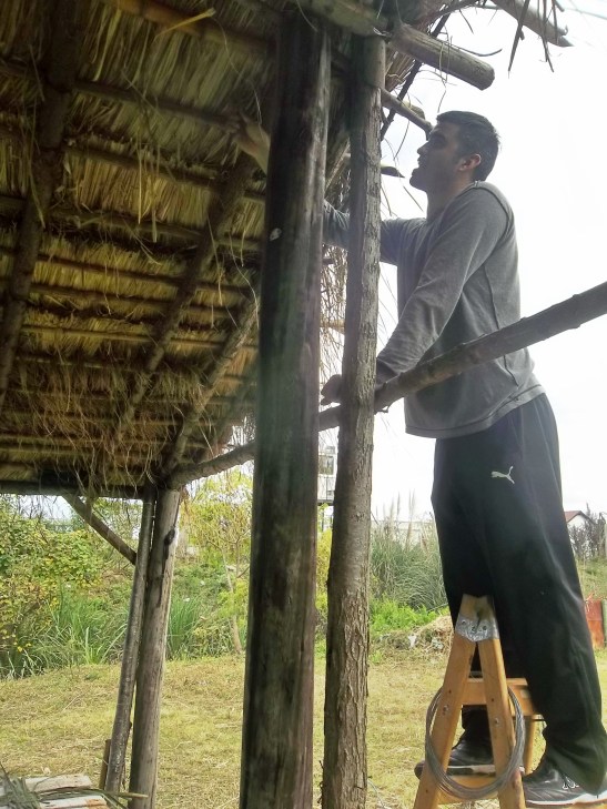 2016 - 05 Mayo - 08 - 100_9817xx