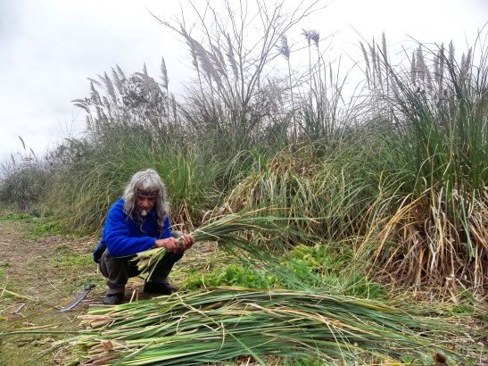 2016 - 06 Junio - 26 - 100_9515xx