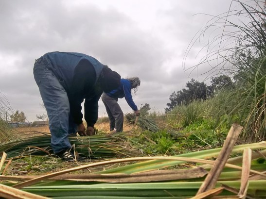 2016 - 06 Junio - 26 - 100_9581xx