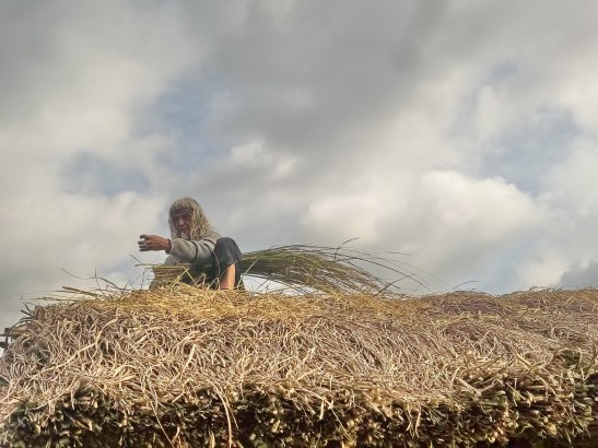 2016 - 07 Julio - 17 - 100_9733x