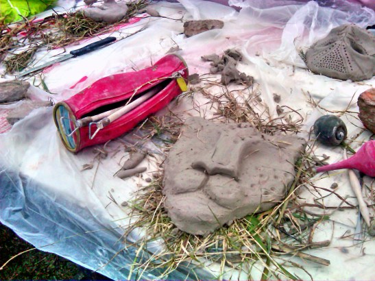 IMG01287-20160619-0310x