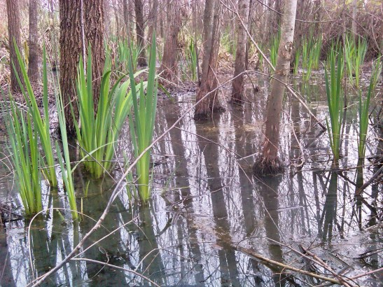 IMG01401-20160702-1901x