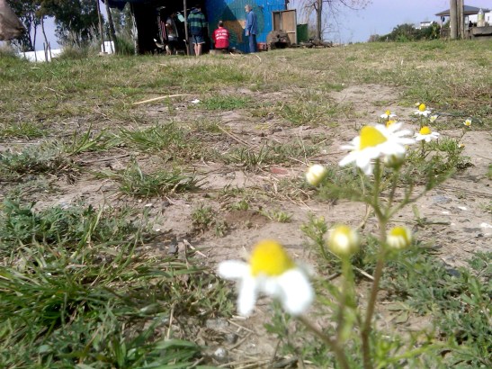 IMG01410-20160702-1913x