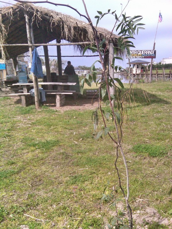 IMG01413-20160702-1914x