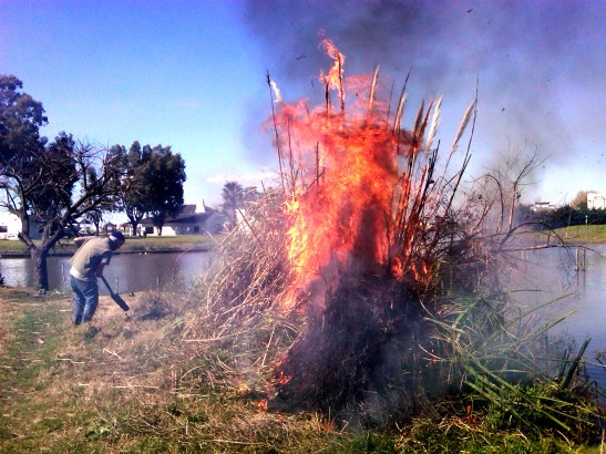 IMG01568-20160708-0239x