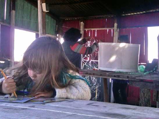 IMG01577-20160708-0438x