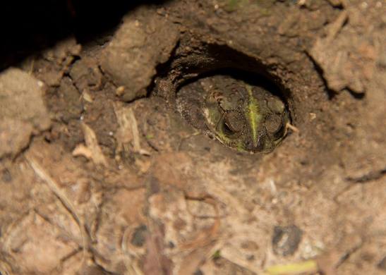 10-14567993_10211009328817489_2889155940933262736_n