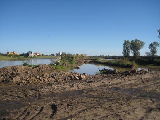 14715659_348934598775066_8015304932057550663_o